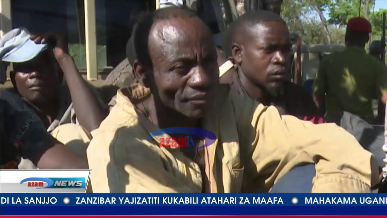 Watuhumiwa wa kundi la uhalifu Tabora wakamatwa msituni wakiwa na magunia 59 ya bangi