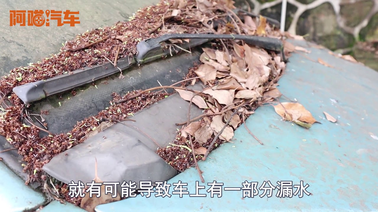 新手司機註意，經常把車停這個地方，壹年不到漆面就老化成麻臉婆