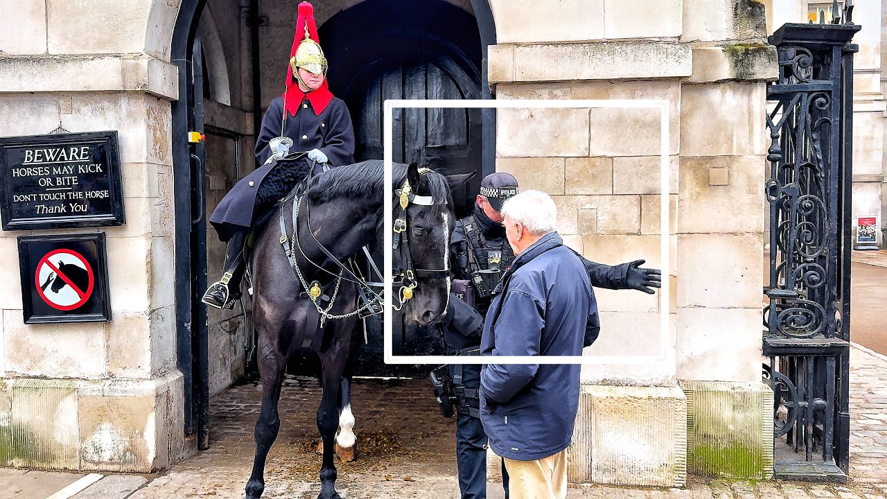 Respectfully Move Away from the HORSES - very simple instruction by a kind police officer