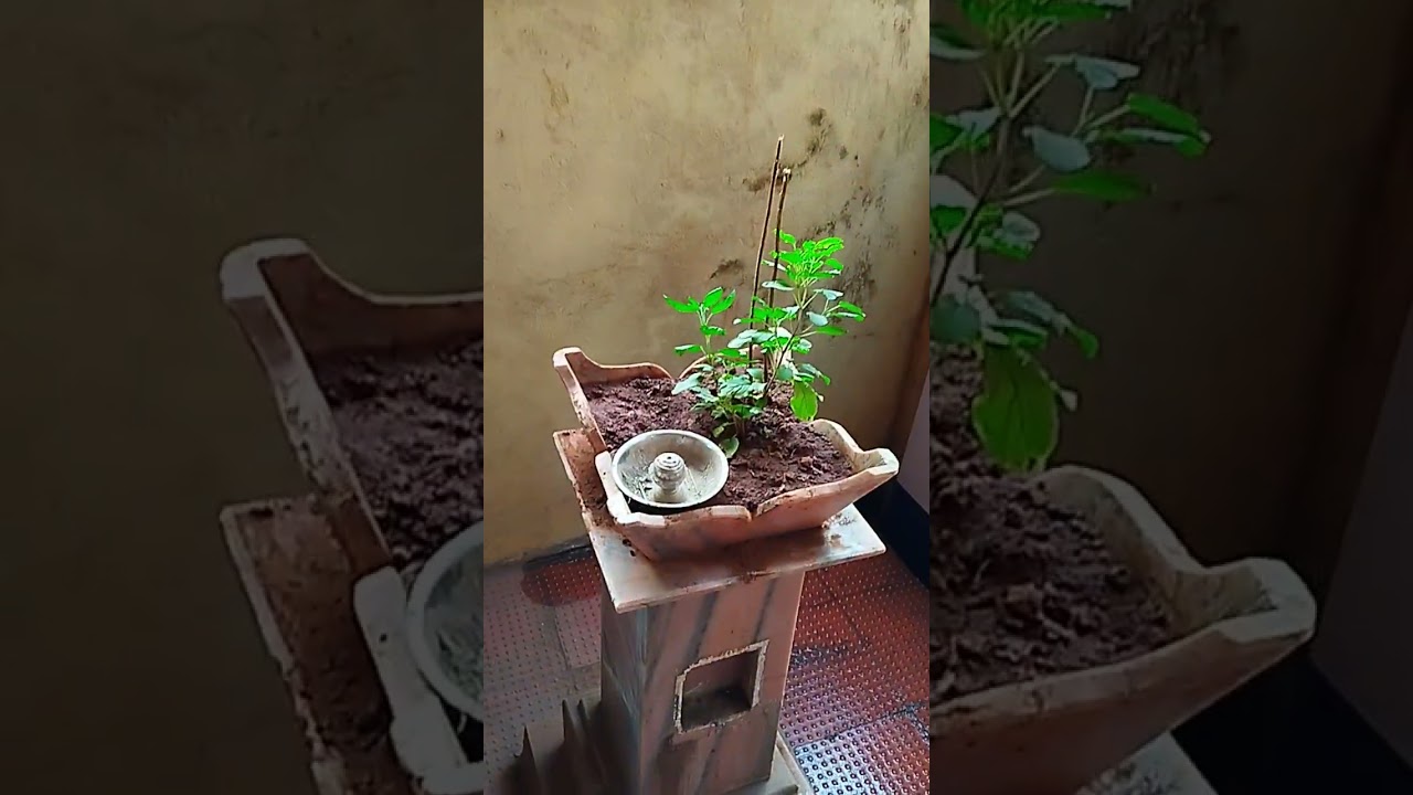 फॉगरचा असाही उपयोग 