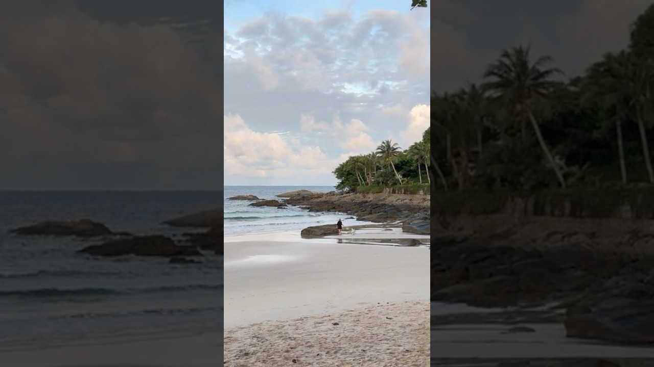 What Are the Top Benefits of Tropical Living? #tropical #lifestyle #nature #sunshine #beach
