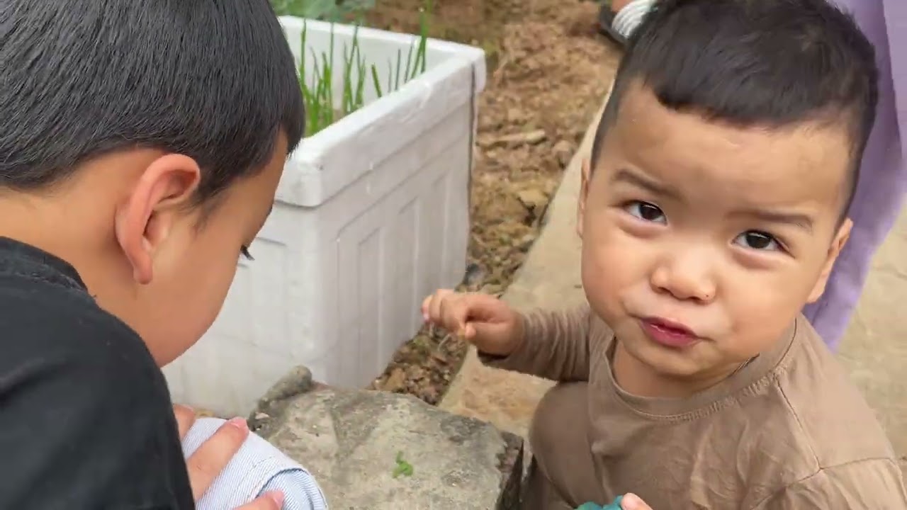 Cuối năm Ất Tỵ (7/2/2026)