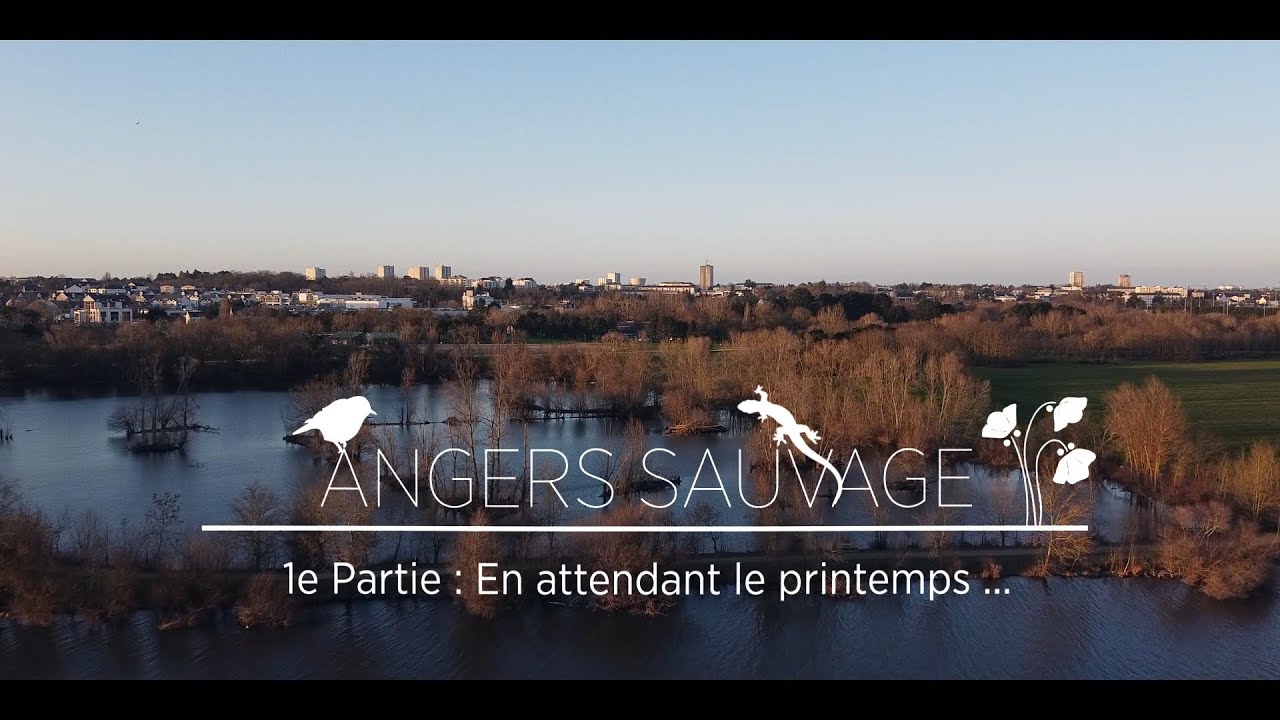 Documentaire nature - ANGERS SAUVAGE - Partie 1