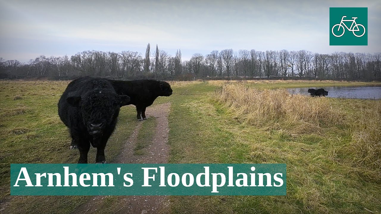Cycling Through Arnhem’s Scenic Floodplains: Meinerswijk & Stadsblokken | Scenic Virtual Bike Tour