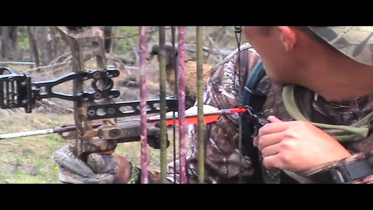 Big Island Outdoors Episode 6