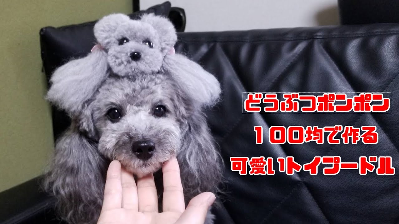 【100均で作る】可愛い動物ポンポン　トイプードルVer