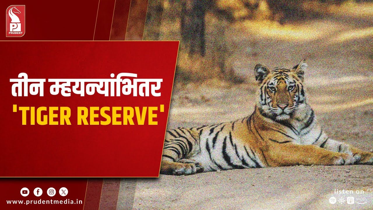 CEC Recommends Phased Notification of Goa Tiger Reserve, Netravali and Cotigao Lead First Phase