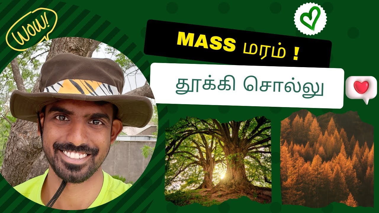 மாயாஜால மரம் 🌳🌴💚I Trees in Tamil I Green Vish I Tamil