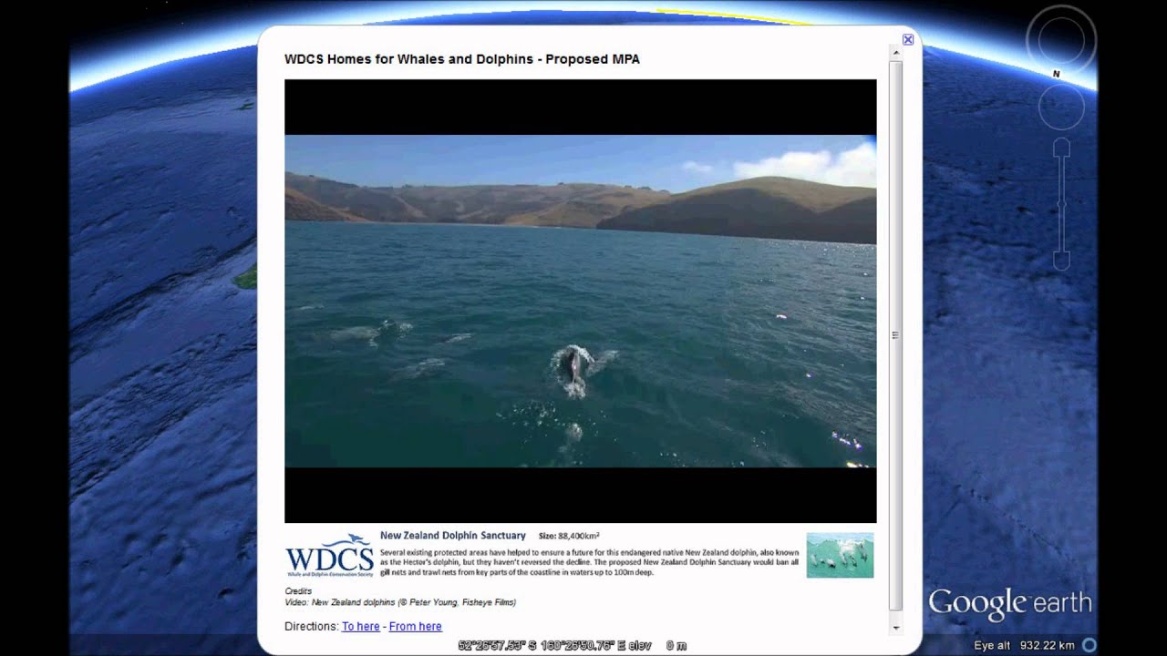 WDCS Homes for whales and dolphins April2012