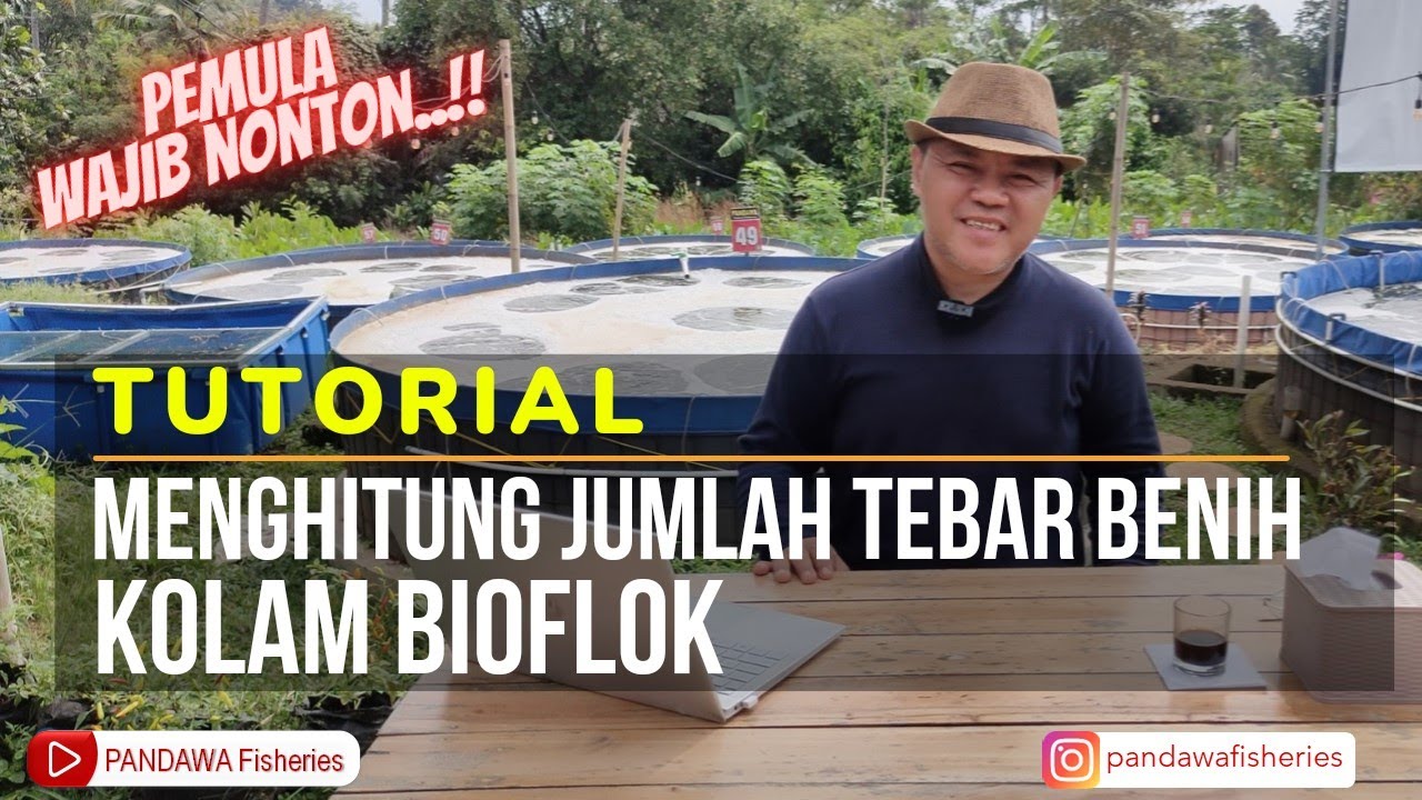 Tutorial Menghitung Jumlah Tebar Benih Ikan Nila Kolam Bioflok