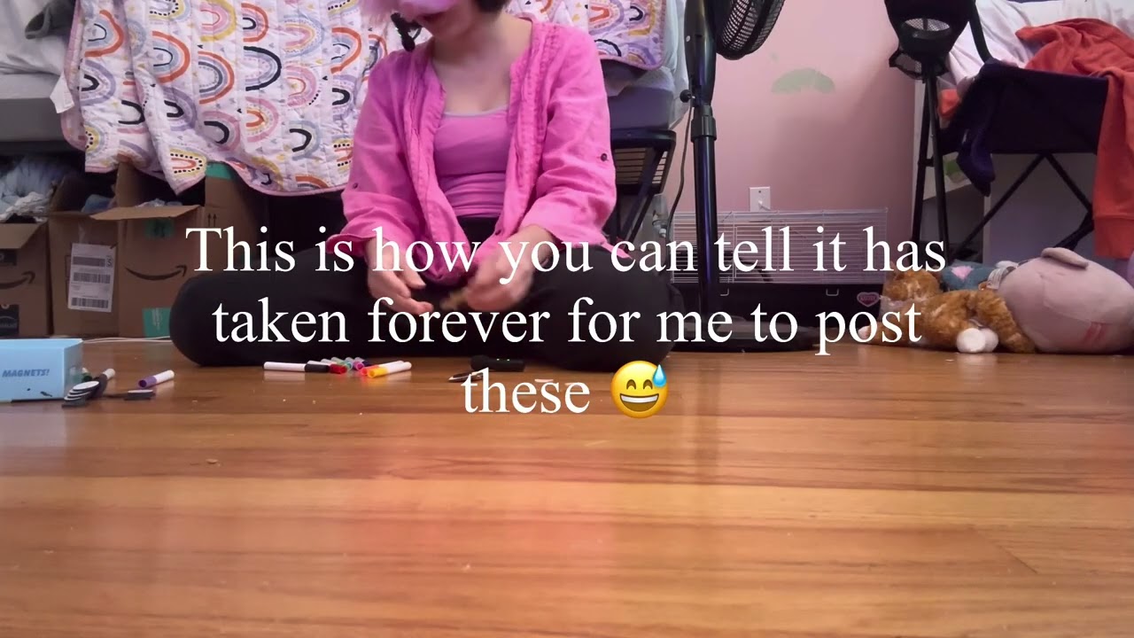 Wooden magnet asmr pt six