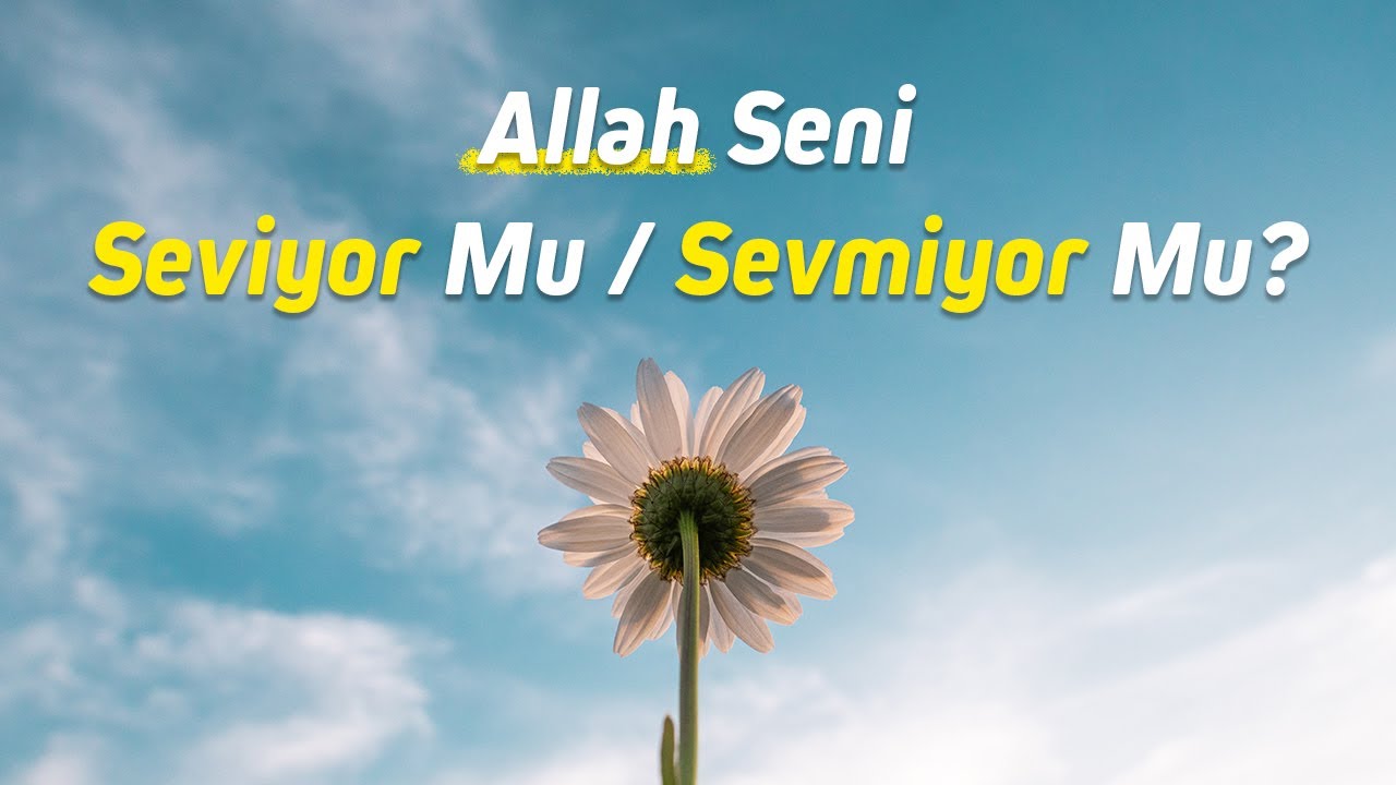 Allah seni seviyor mu, sevmiyor mu?  - Nureddin Yıldız - sosyaldoku.com