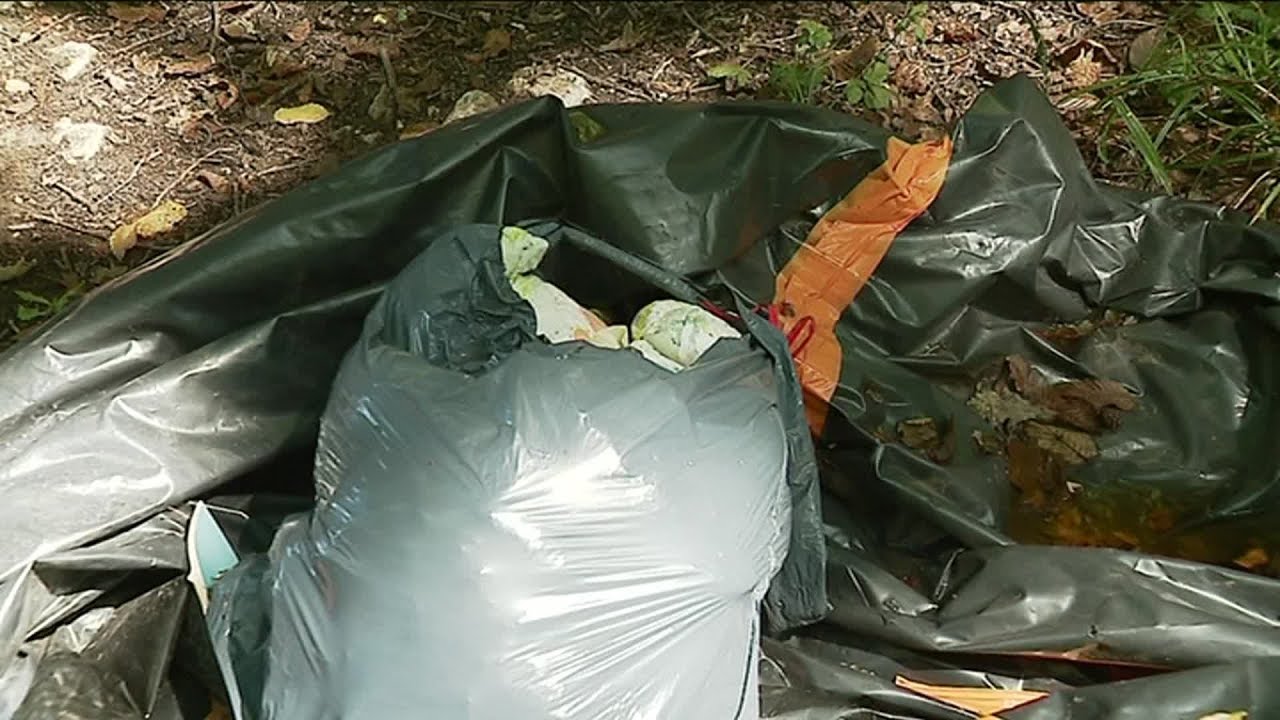 Franche-Comté : les forêts, ces nouvelles décharges sauvages