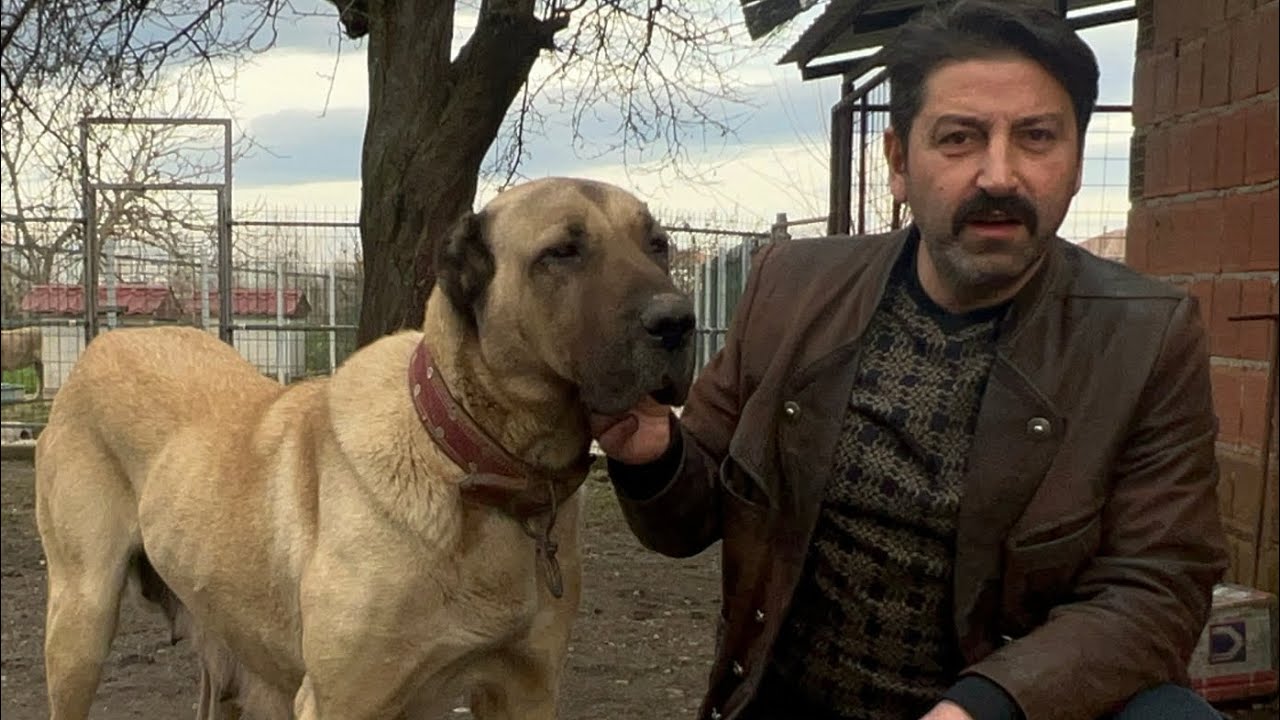 ALİ TUNA ZİYARETİ , bu Kapıya Herkes Uğrayamaz! KALİTELİ ÜRETİM! 
