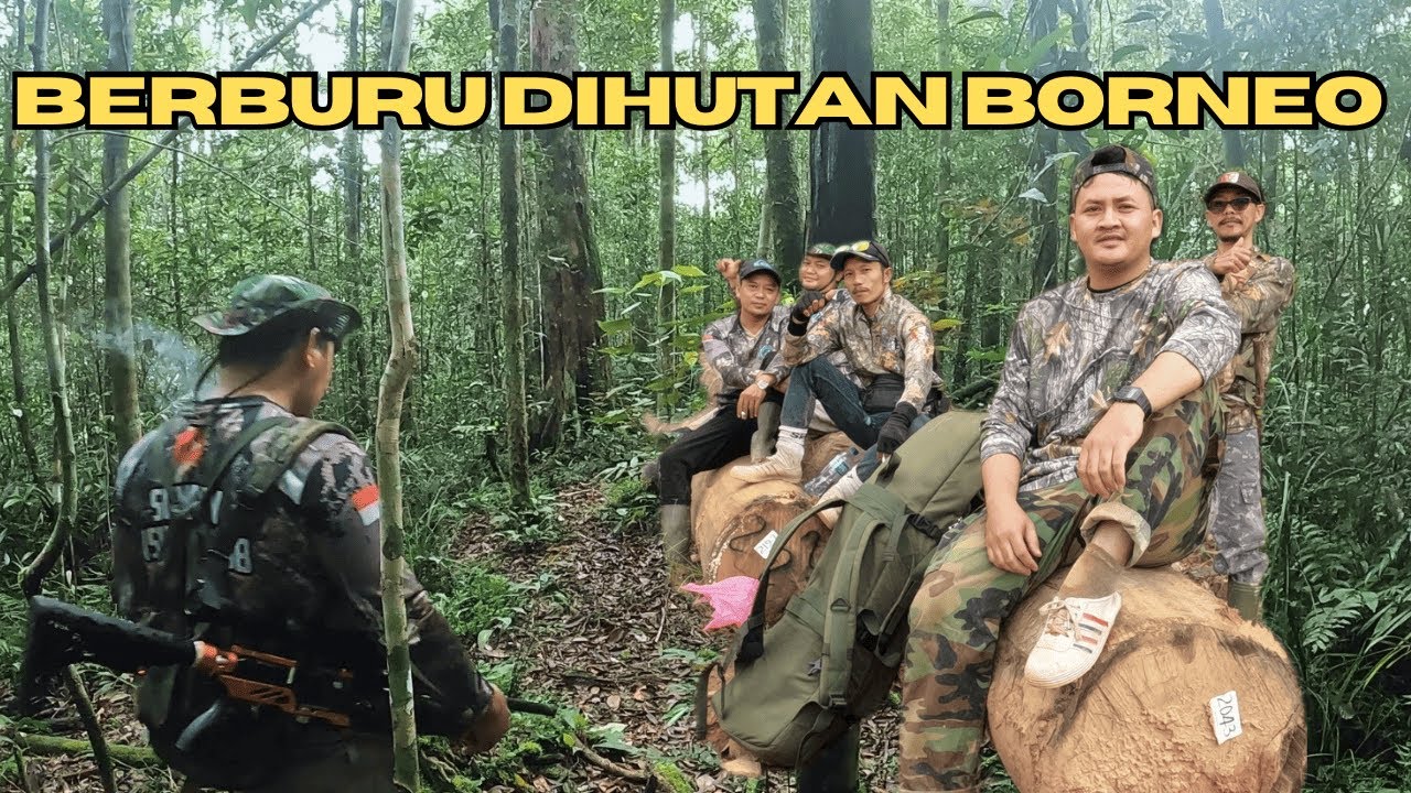 Menjelajahi hutan kalimantan bermalam di camp sambil berburu dalam hutan