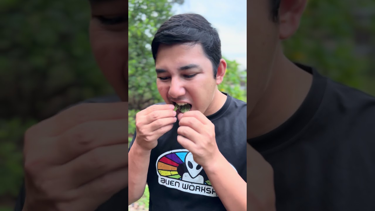 Petua zaman dulu