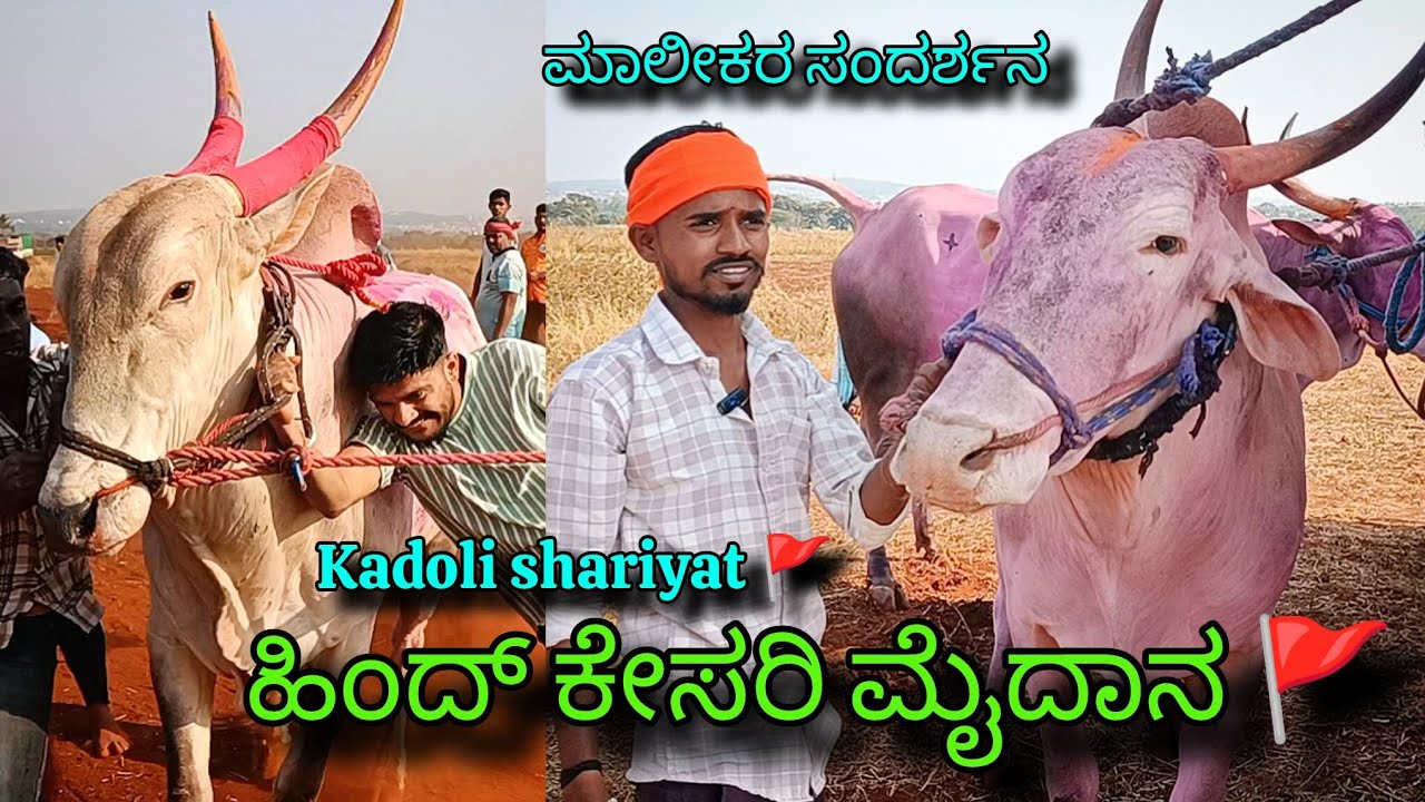 Kadoli shariyat 2026 || #india #interview #karnataka 