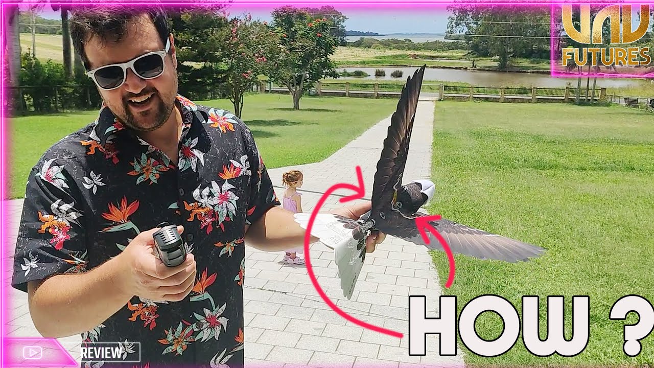 ORNITHOPTER REVIEW. copying nature to gain flight.