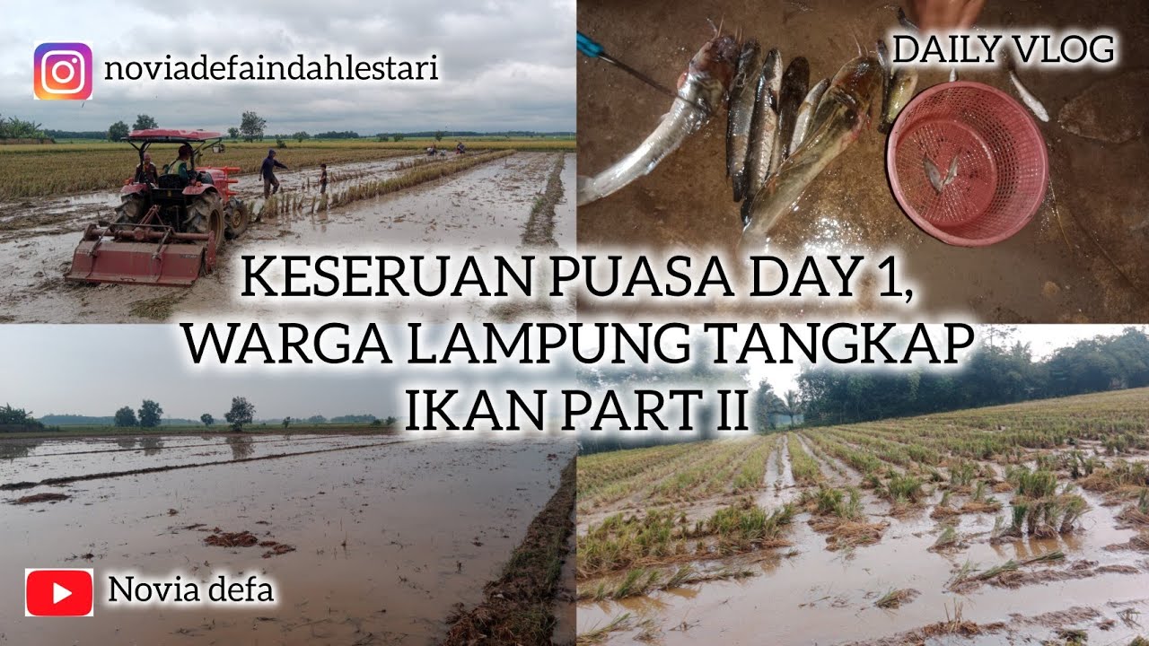 KESERUAN PUASA DAY 1, WARGA LAMPUNG TANGKAP IKAN PART II #trending #trendingvideo #fyp #vloglampung 