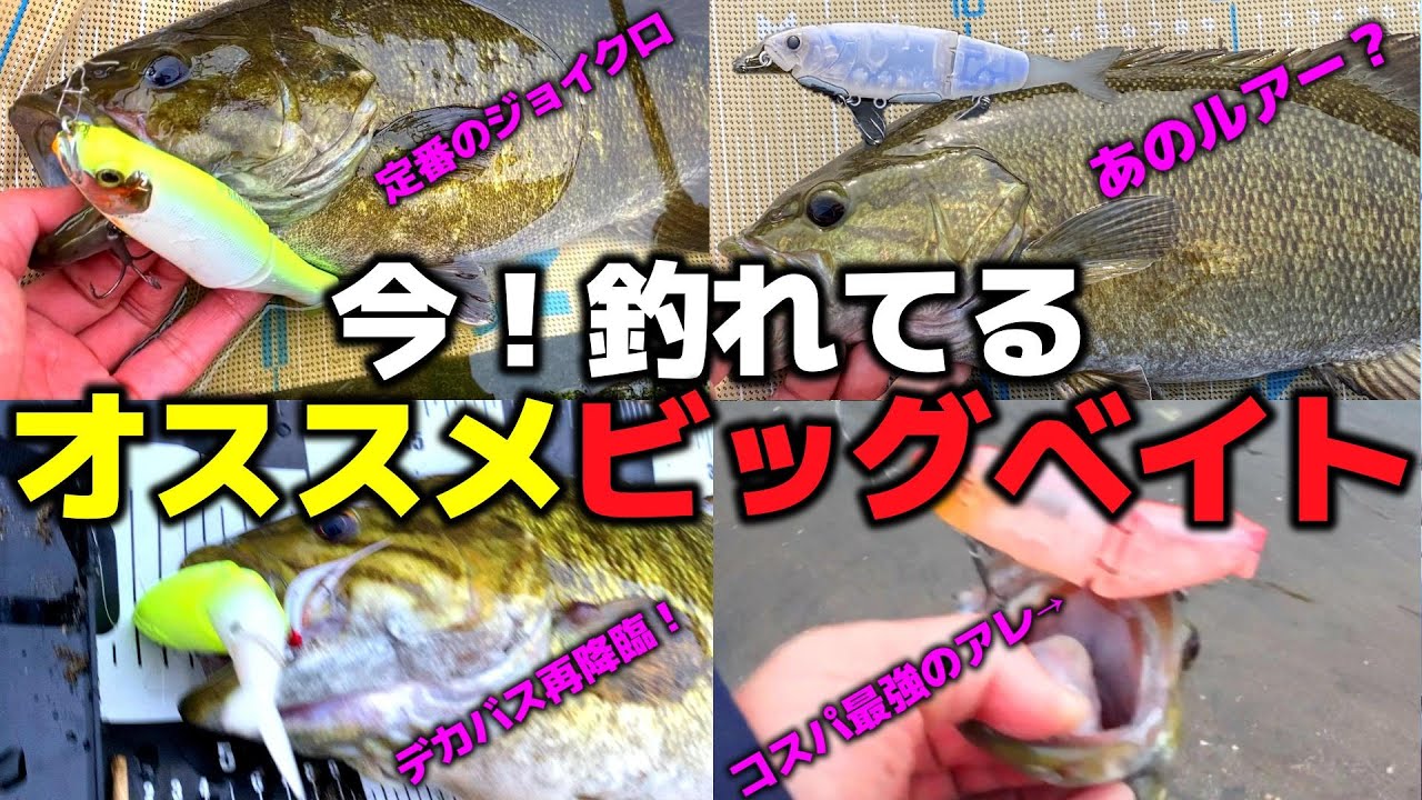 川スモール爆釣！最強ビッグベイト3選　＃バス釣り　＃ビッグベイト　＃川スモール