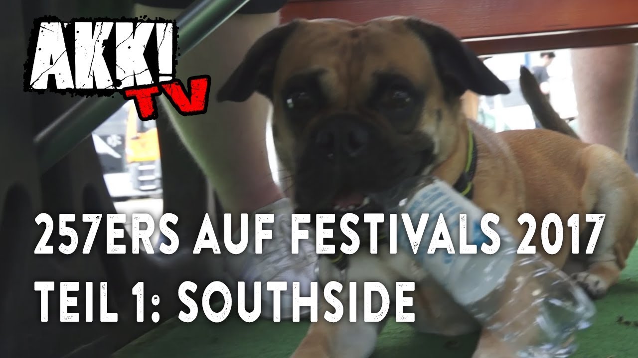 Akk! TV 257ers auf Festivals 2017 Teil 1 (Southside)