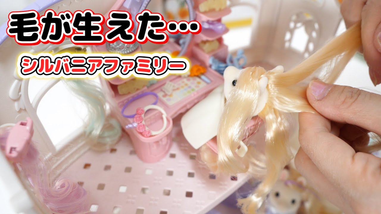 毛が生えたシルバニアファミリーがこちらです【 こうじょうちょー  】
