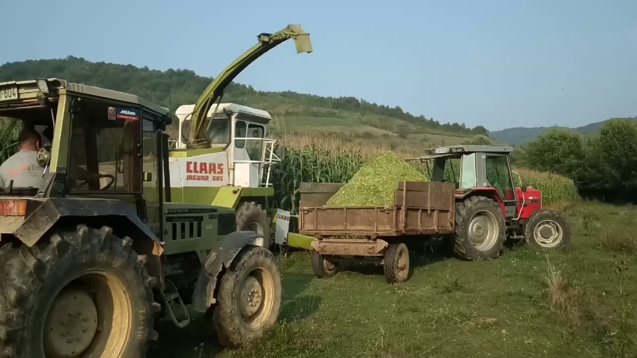 SILAZA 2019 Visoko