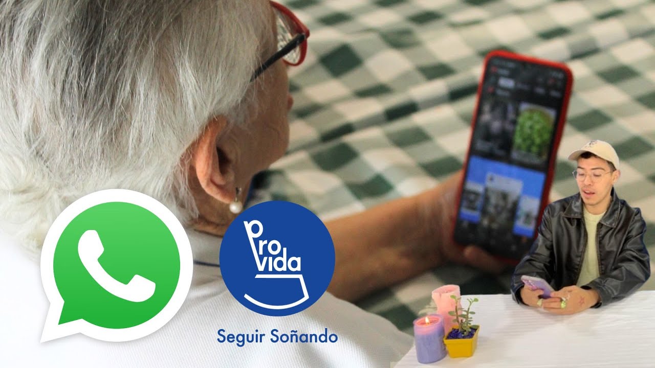 ¿Cómo usar Whatsapp? - Fundación Provida Colombia