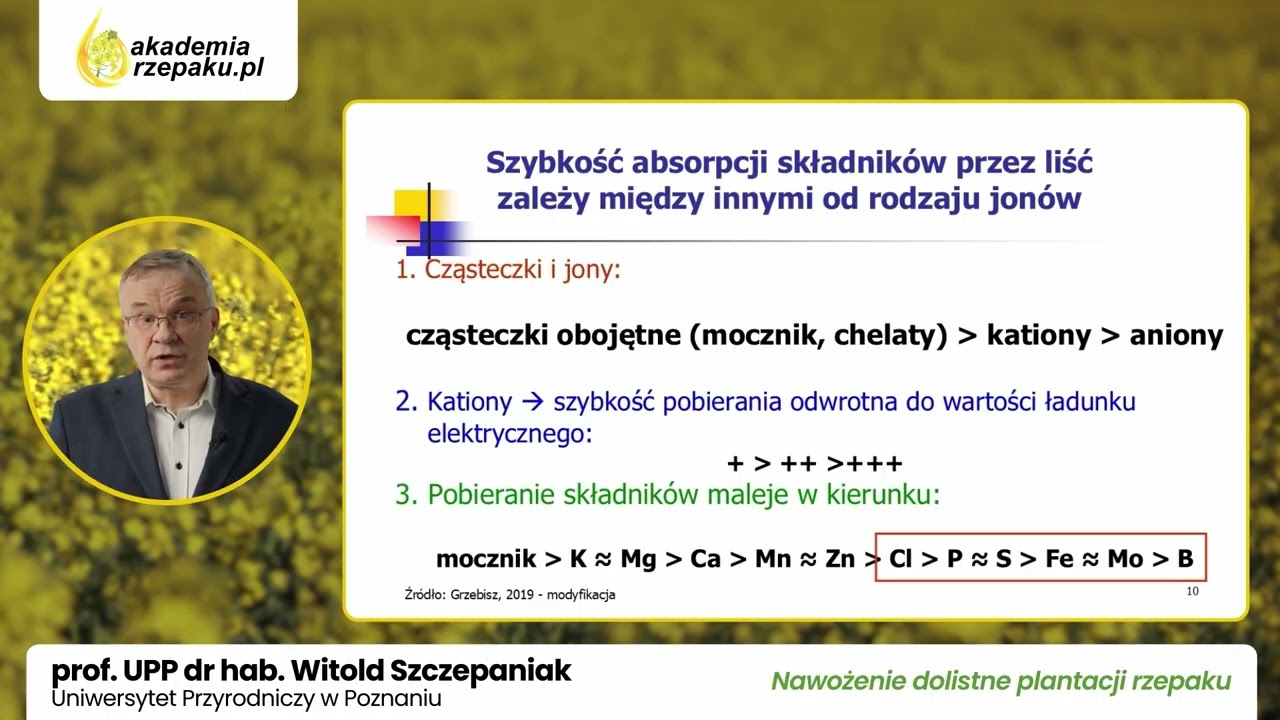 Rzepak na wiosnę – skuteczne nawożenie i adaptacja do zmian klimatu