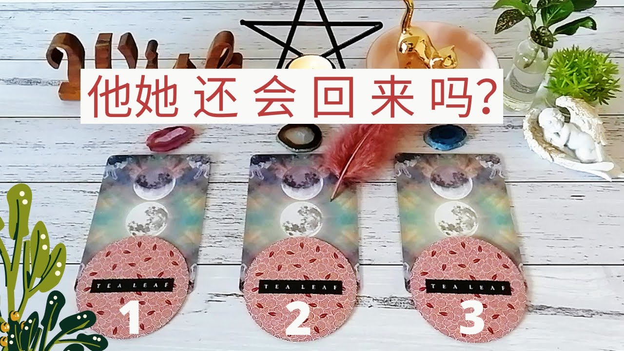 🐾他她会回来吗？他想过你吗？他后悔过吗？🤝塔罗占卜你们有机会复合吗？是否会来联系你？（分手，断联，卡关系状态）🔮听听宇宙给你的爱情指引跟建议
