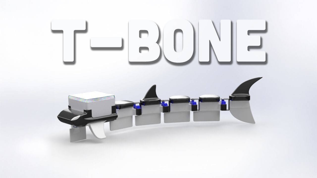 T-Bone: A Bio-Inspired Robotic Fish Documentary