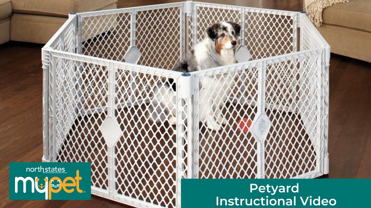 Petyard Instructional Video North States MyPet