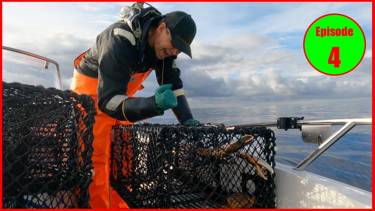 THE LOBSTER GRIND Hauling the pots for the 4th day in a row Hummerfiske utenfor Kristiansand, Norge