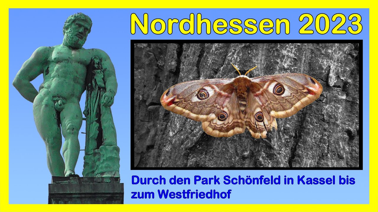 Nordhessen 2023: Durch den Park Schönfeld in Kassel bis zum Westfriedhof