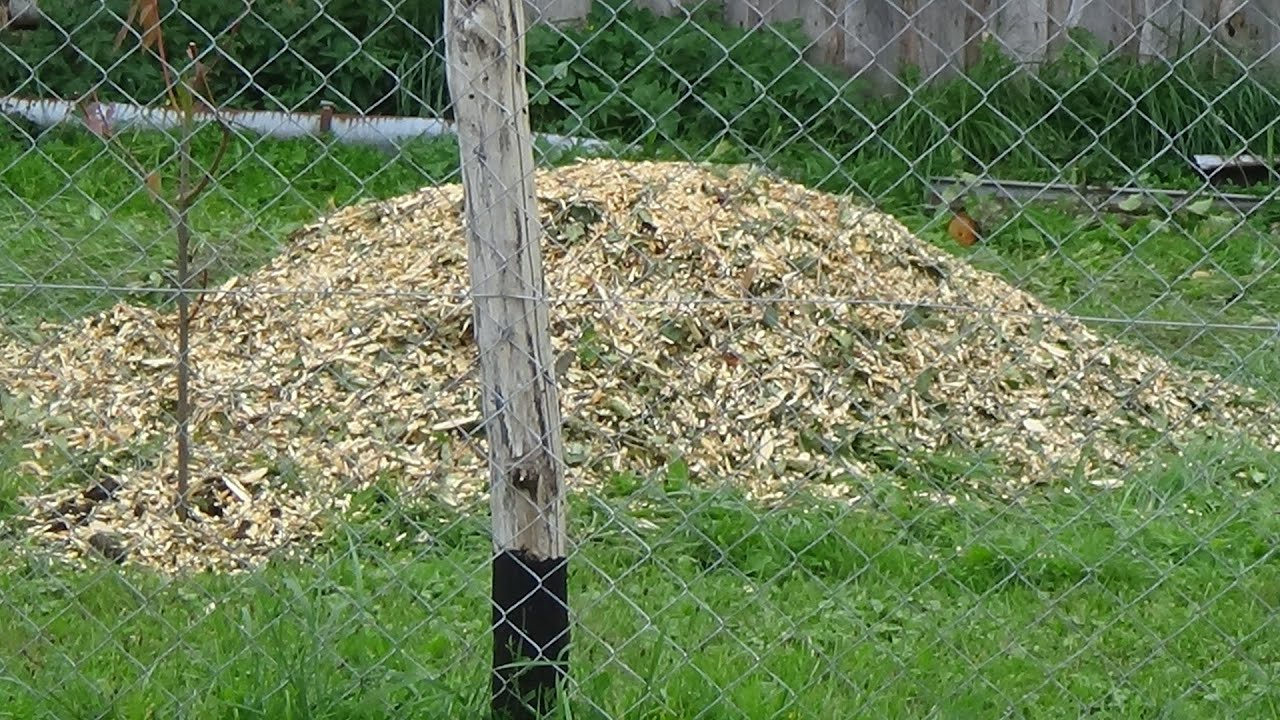gyümölcsös átgondolva