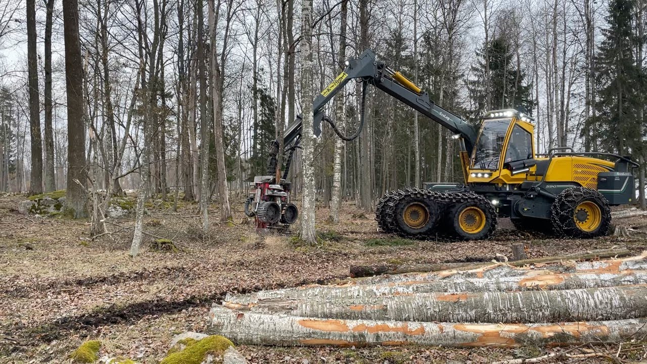 Köp Skördare Ecolog 590E med skördaraggregat Logmax 6000V på Klaravik