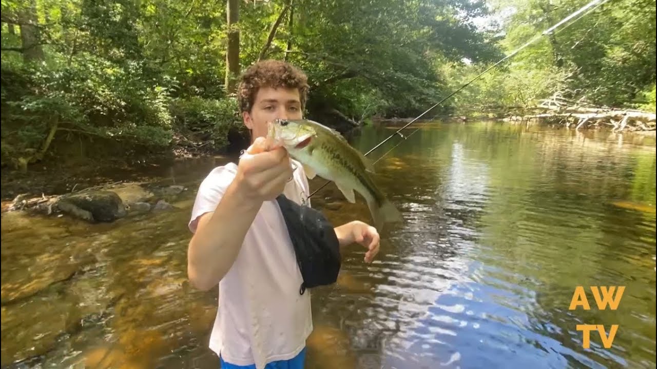Catching bass & sunfish West little river fork #bassfishing 