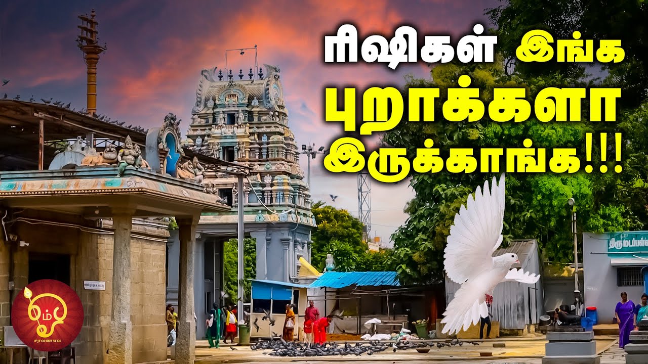 விநாயகருக்கே கல்யாணம் ஆன கோவில்! | Kovil Kadhaigal | Padi Sivan Kovil | Chennai Temple