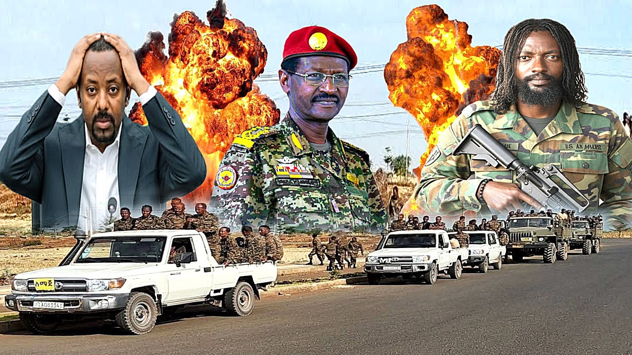 ODUU Ammee Waraana Ulfaataa Motummaa fi Wbo oromiya Rasee | Moha Oromo 