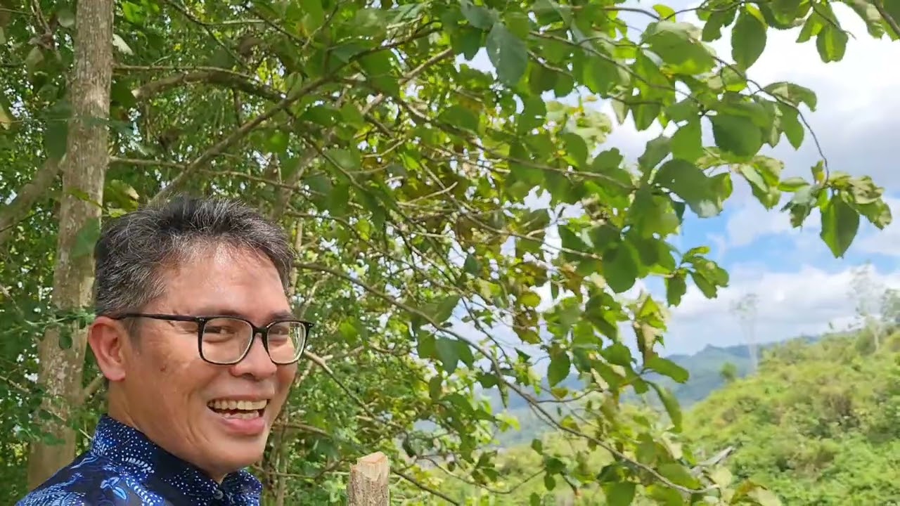 🤩🤩🤩Lahan Miring Potensi Keberhasilan Tanaman Keras seperti Kelapa, durian, alpukat #bukitcigriyeng  