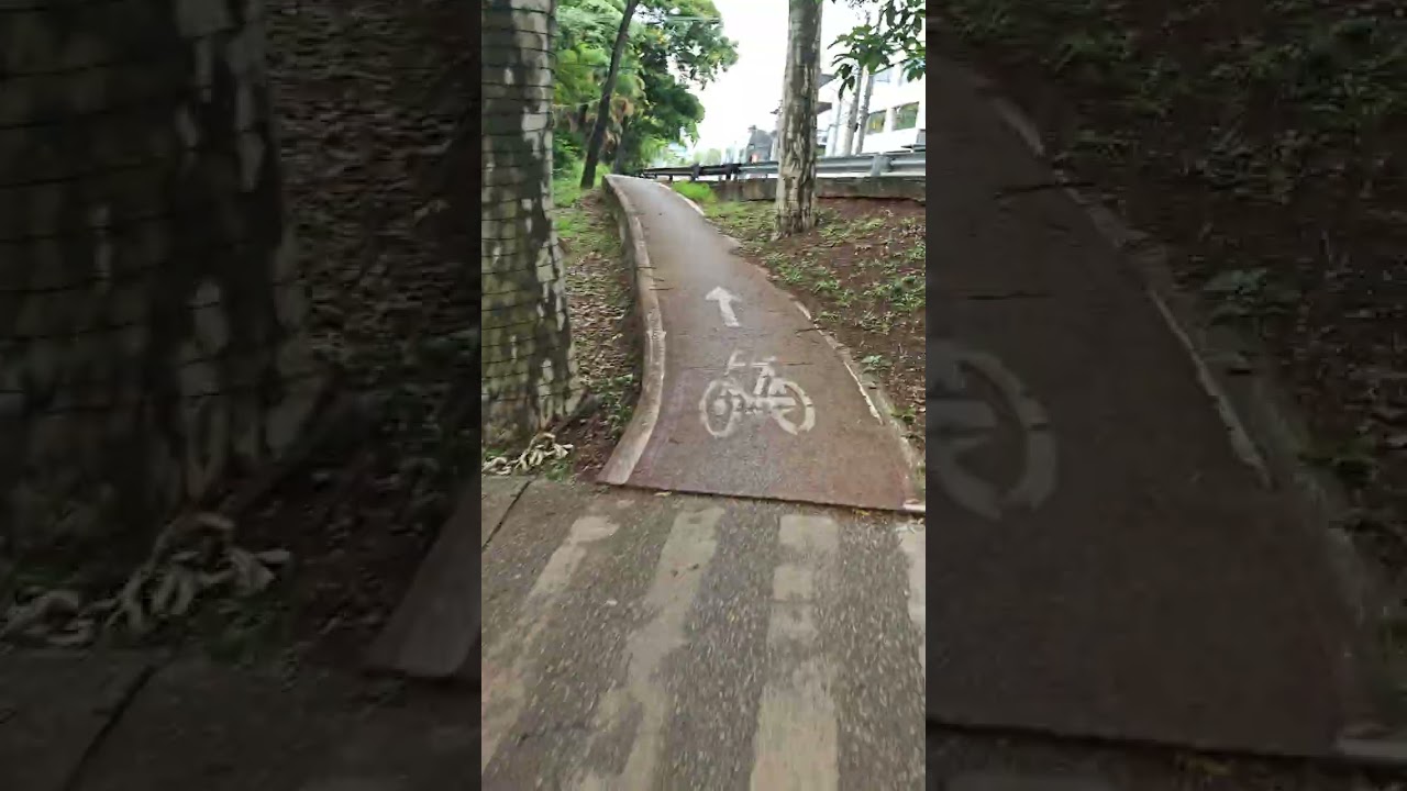 Passeio de Bike na Av Brás Leme - Santana - SP 