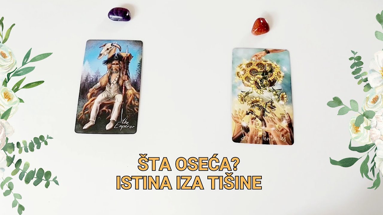 Šta oseća?  🐞 Istina iza tišine 🍀💘🔒
