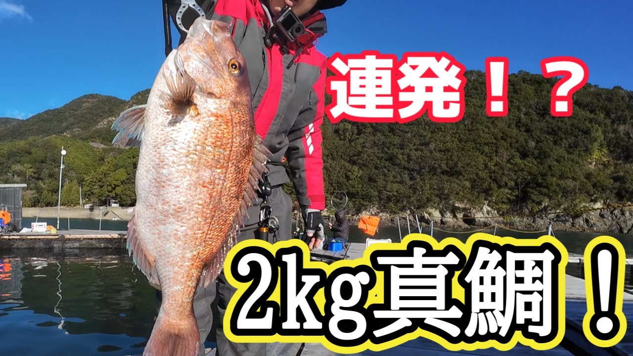 【海上釣堀】初挑戦の日の丸水産で2kg級の真鯛が！