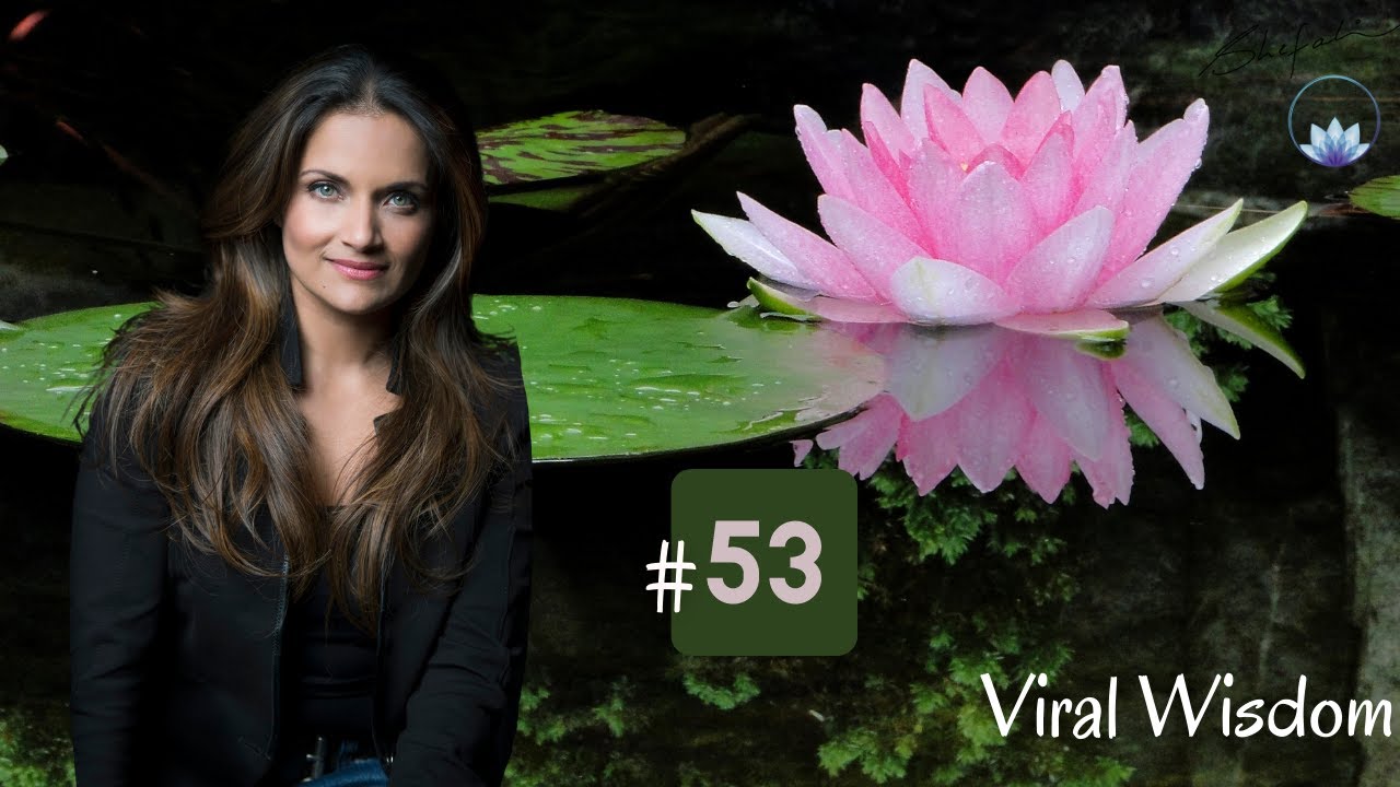 Day 53 Viral Wisdom 6 7 2020