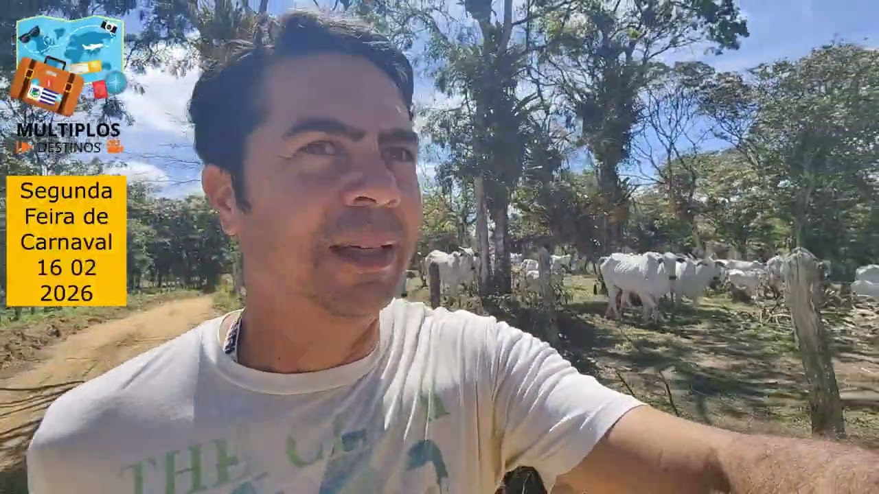 Segunda Feira de Carnaval 16 02 2026