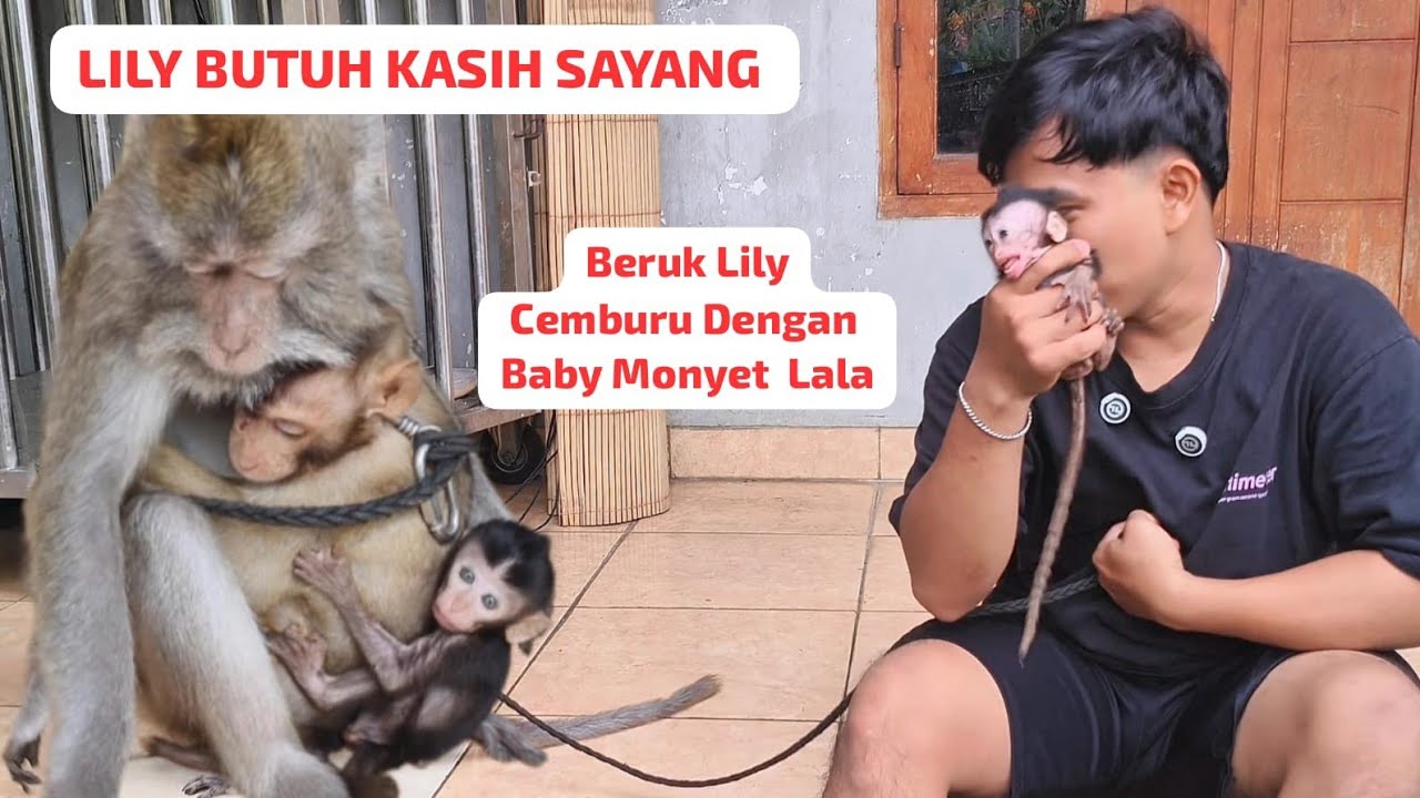 PERTEMUAN LILY DENGAN ADIK NYA ‼️BABY LALA TERGESERKAN