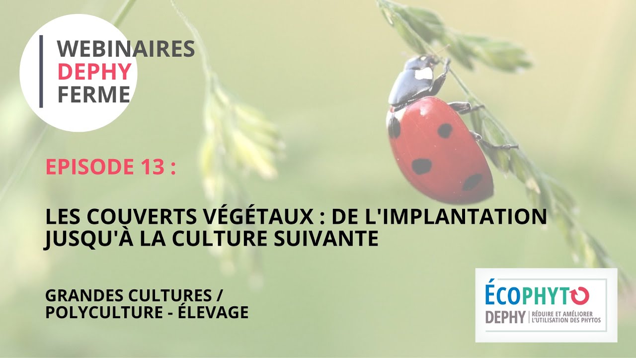 EP13 : Les couverts végétaux de l'implantation à la culture suivante | GCPE