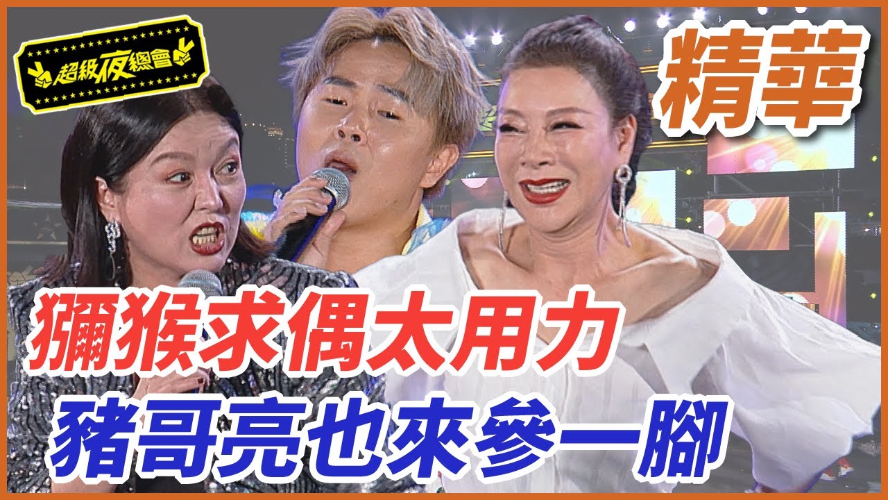 陳孟賢求偶太用力！連豬哥亮也來參一腳？！