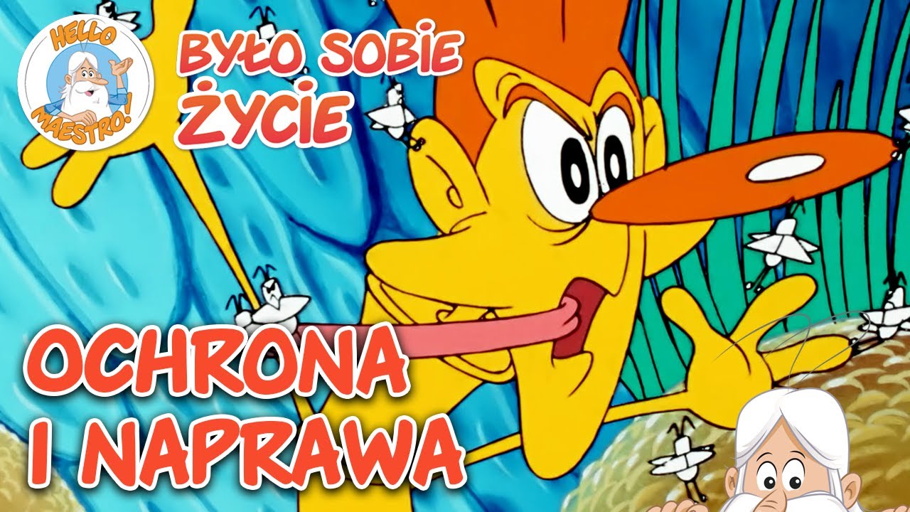 Ochrona i naprawa | Pełne Odcinki | Było sobie... Życie
