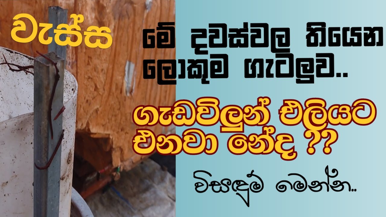 ගැඩවිලුන් එලියට එන එකට විසඳුම්..